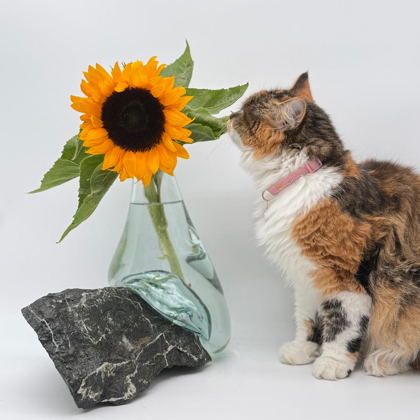 Handcrafted Glass Vase with Natural Stone Base 3